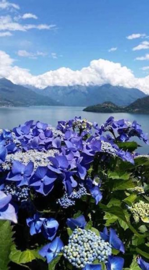 Agriturismo Piccolo paradiso Pianello Del Lario